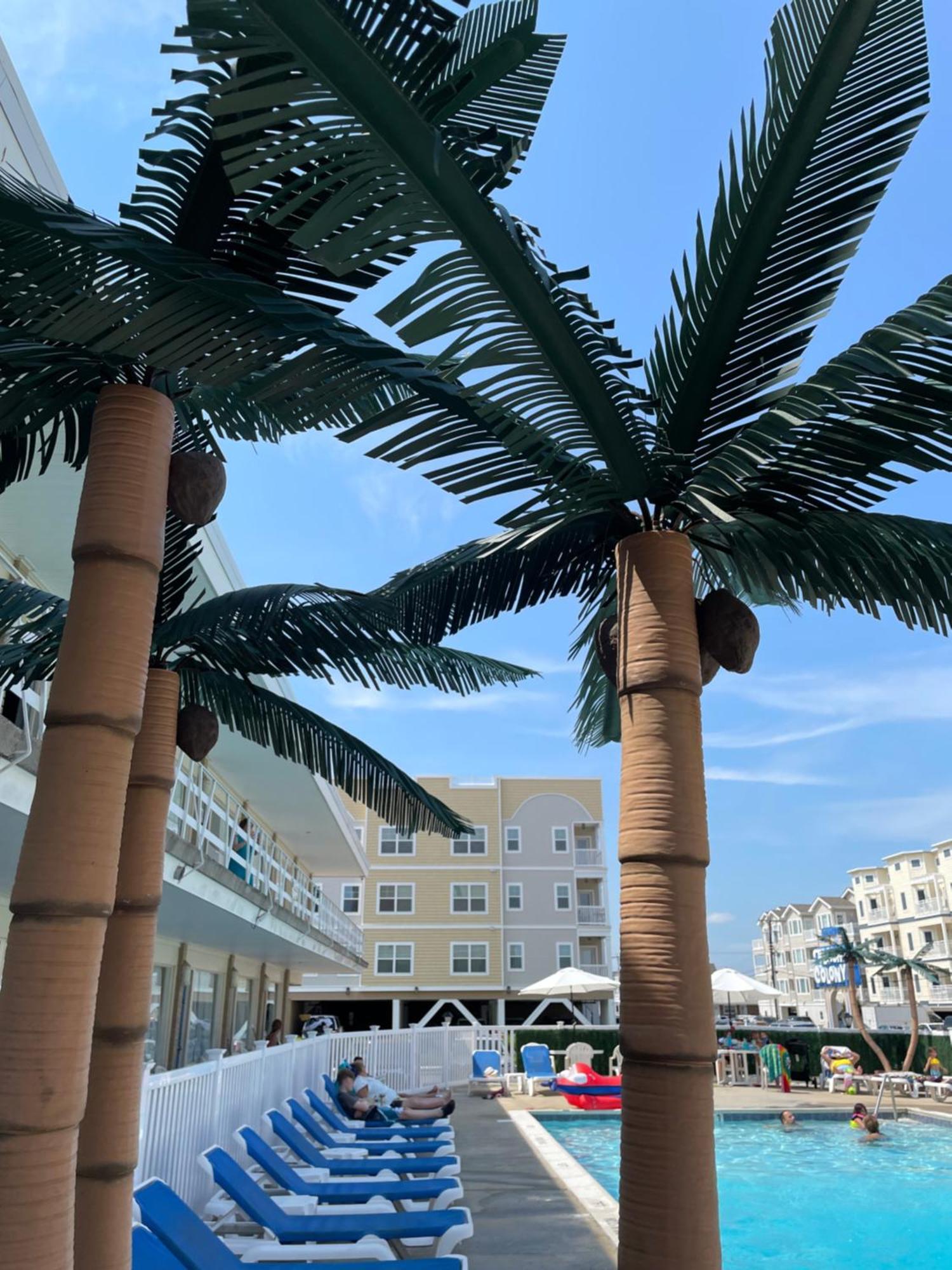 וויילדווד קרסט Beach Colony Motel מראה חיצוני תמונה